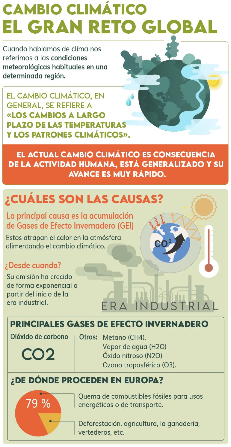 Infografía causas del cambio climático 1